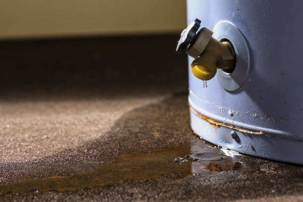 Best Ceiling water damage repair  in Ahwahnee, CA