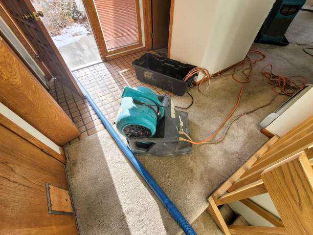 Best 24/7 water damage repair  in Ahwahnee, CA