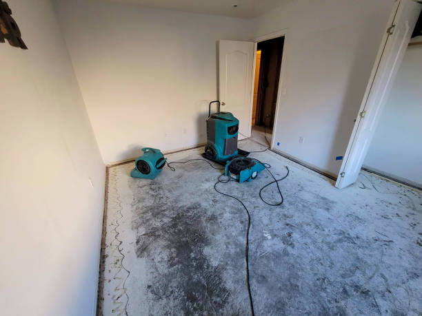 Best Water damage contractors near me  in Ahwahnee, CA