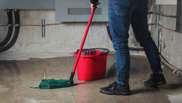 Best Professional water damage repair  in Ahwahnee, CA