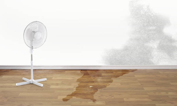 Best Water damage restoration near me  in Ahwahnee, CA