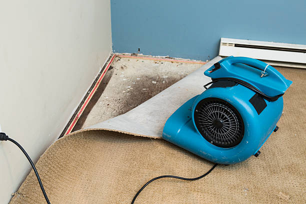 Best Carpet water damage restoration  in Ahwahnee, CA